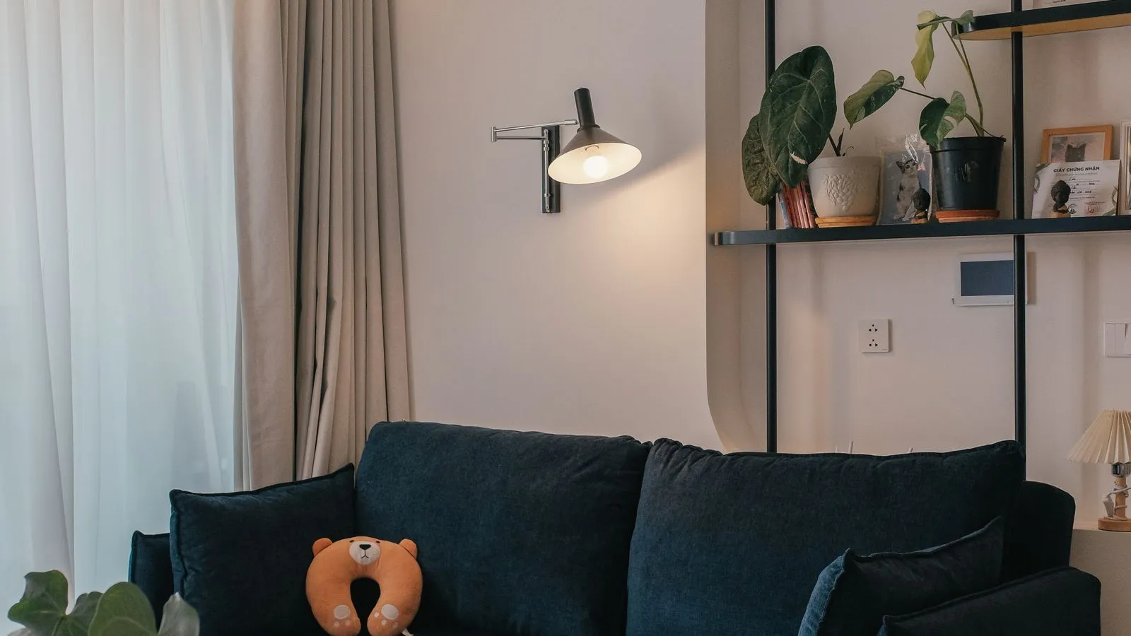 Séjour d'un appartement avec canapé et plantes, à l'image d'une colocation étudiante à Cergy